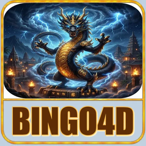 bingo4d