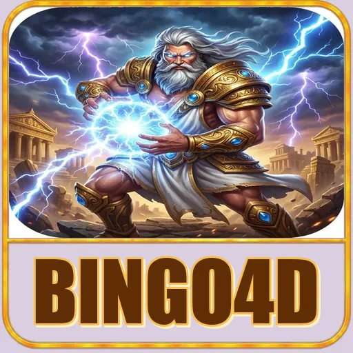 bingo4d